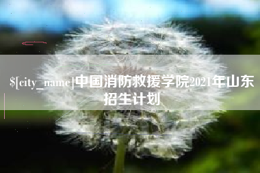 云南中国消防救援学院2021年山东招生计划
