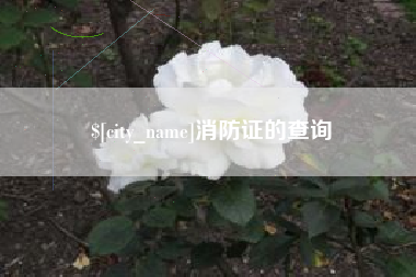 云南消防证的查询