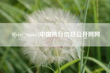 云南中国执行信息公开网网