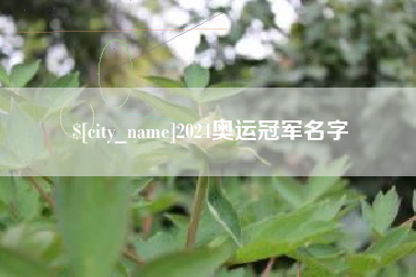 云南2024奥运冠军名字
