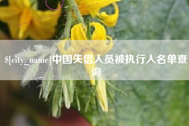云南中国失信人员被执行人名单查询