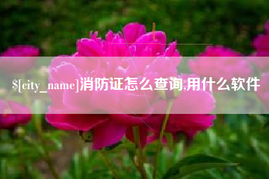 云南消防证怎么查询,用什么软件