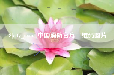 云南中国消防官方二维码图片