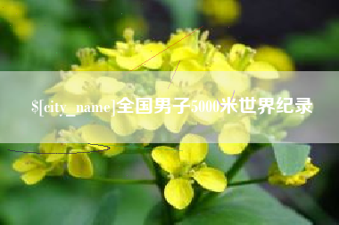 云南全国男子5000米世界纪录