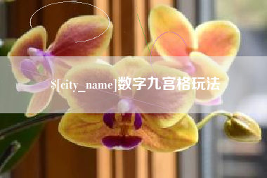 云南数字九宫格玩法