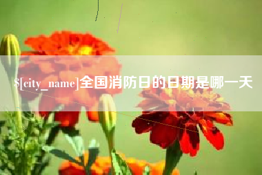 云南全国消防日的日期是哪一天