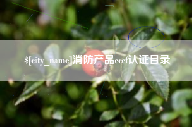 云南消防产品cccf认证目录