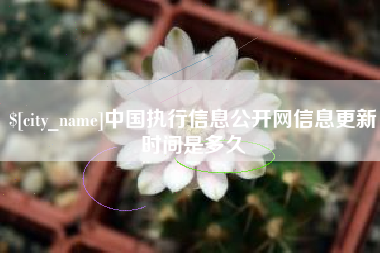 云南中国执行信息公开网信息更新时间是多久