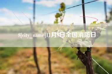 云南11月9日全国消防日