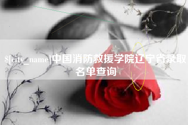 云南中国消防救援学院辽宁省录取名单查询