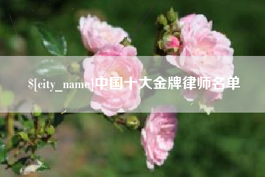 云南中国十大金牌律师名单