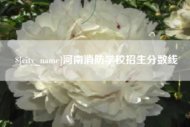 云南河南消防学校招生分数线