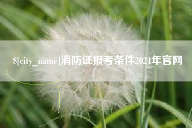云南消防证报考条件2024年官网