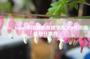 云南中国消防救援学院2020年河南录取分数线