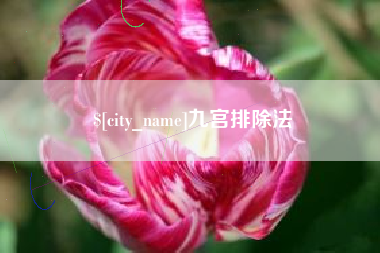 云南九宫排除法