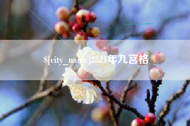 云南2821年九宫格