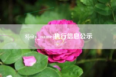 云南执行信息公示