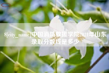 云南中国消防救援学院2021年山东录取分数线是多少