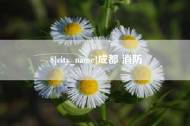 云南成都 消防