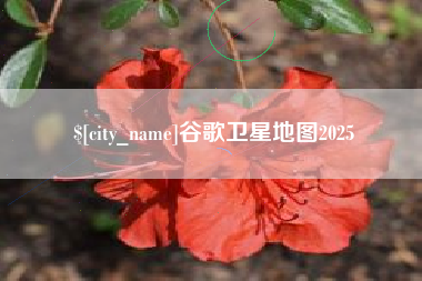 云南谷歌卫星地图2025