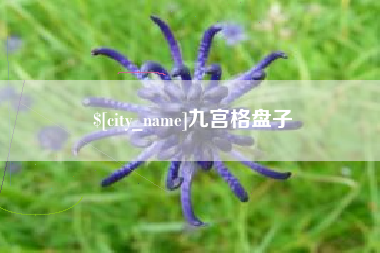 云南九宫格盘子