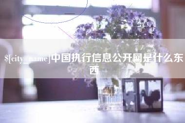 云南中国执行信息公开网是什么东西