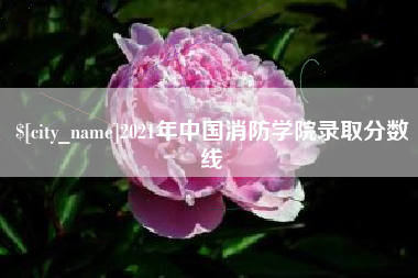 云南2021年中国消防学院录取分数线
