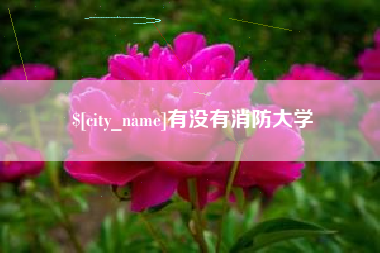 云南有没有消防大学