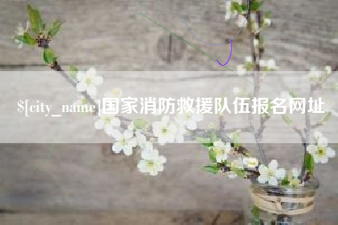 云南国家消防救援队伍报名网址