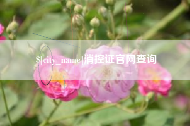 云南消控证官网查询