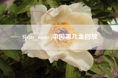 云南中国第九金回放