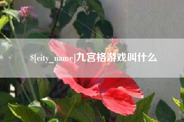 云南九宫格游戏叫什么