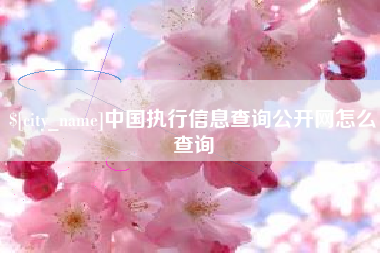 云南中国执行信息查询公开网怎么查询