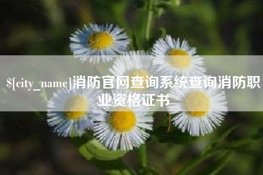 云南消防官网查询系统查询消防职业资格证书