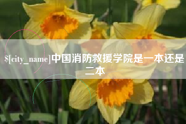 云南中国消防救援学院是一本还是二本