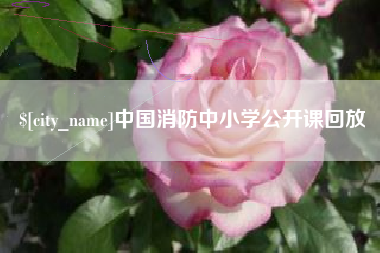 云南中国消防中小学公开课回放