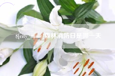 云南森林消防日是哪一天
