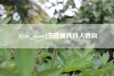 云南失信被执行人杳询
