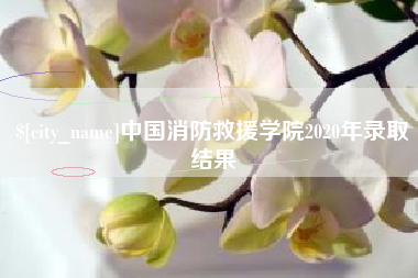 云南中国消防救援学院2020年录取结果
