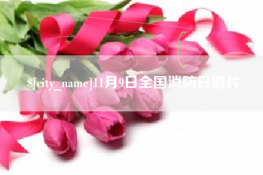云南11月9日全国消防日图片