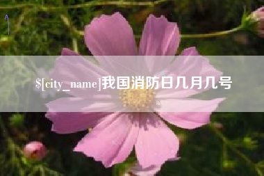 云南我国消防日几月几号