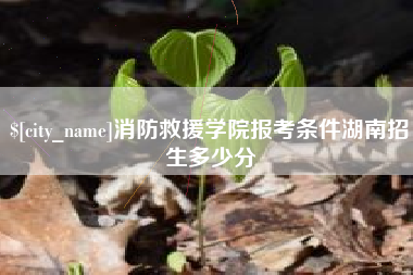 云南消防救援学院报考条件湖南招生多少分