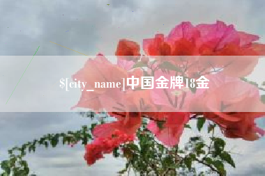 云南中国金牌18金