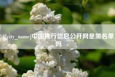 云南中国执行信息公开网是黑名单吗
