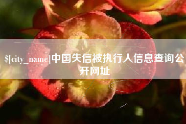 云南中国失信被执行人信息查询公开网址