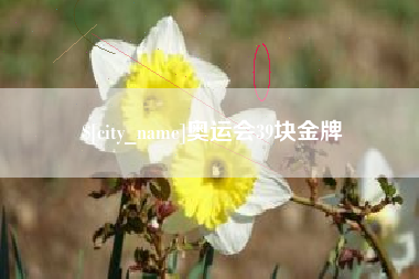 云南奥运会39块金牌