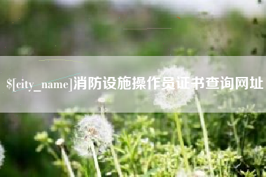 云南消防设施操作员证书查询网址