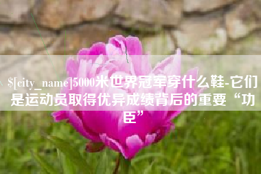 云南5000米世界冠军穿什么鞋-它们是运动员取得优异成绩背后的重要“功臣”