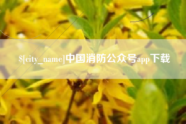 云南中国消防公众号app下载