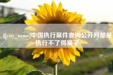 云南中国执行案件查询公开网都是执行不了得案子